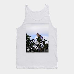 White crowned sparrow in a blue blossom Ceanothus Thyrsiflorus bush 3 Tank Top